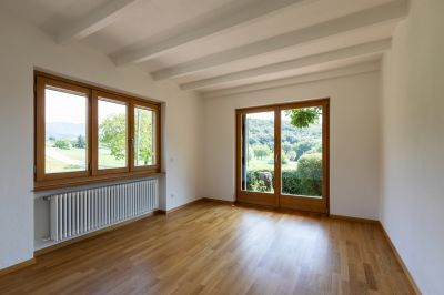 Modern Wooden Frame Windows